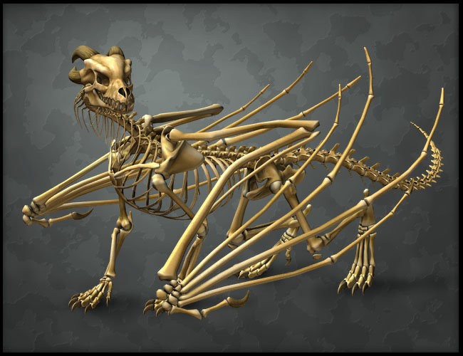 The Bone Dragon | Dragons for Daz Studio and Poser