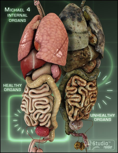 Michael 4 Internal Organs | Human Anatomy for Daz Studio and Poser