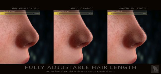 Peach Fuzz Facial Vellus Hair For Genesis 3 Female S 3D Models For