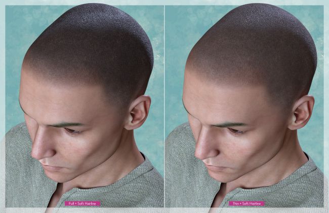 Shaved Hair For Genesis Male S D Models For Daz Studio And Poser