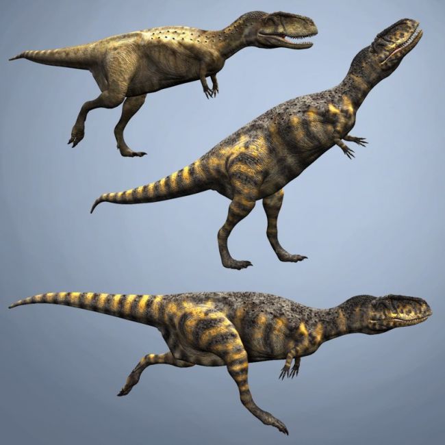 abelisaurid theropod