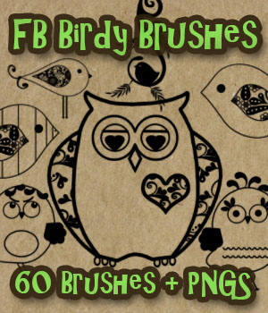 FB Birdy Brushes