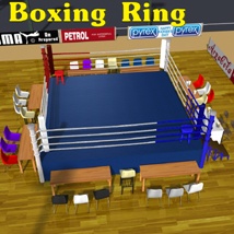 Stadium Boxing Ring