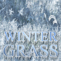 Flinks Winter Grass