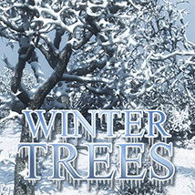 Flinks Winter Trees