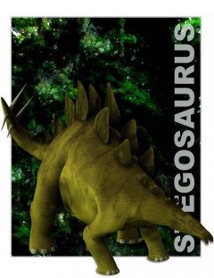 Stegosaurus