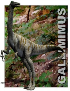 Gallimimus