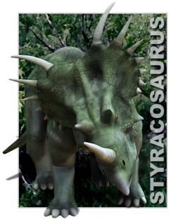 Styracosaurus