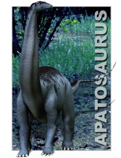 Apatosaurus