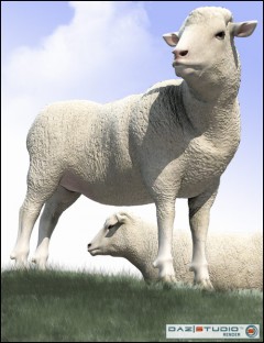 DAZ Sheep