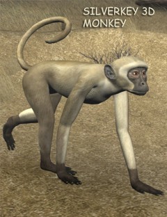 SilverKey 3d Monkey