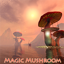 Magic Mushroom