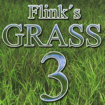 Flinks Grass 3