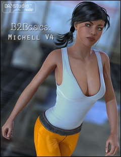 B2Basics- Michell V4