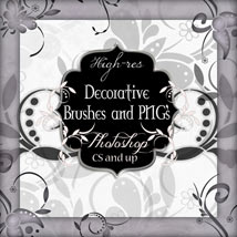 Decorative Brushes and PNG's