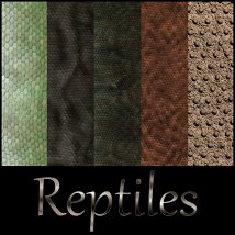 STG Reptiles