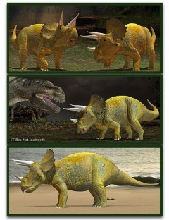 Triceratops