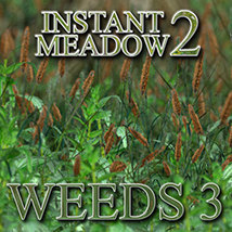 Flinks Instant Meadow 2- Weeds 3