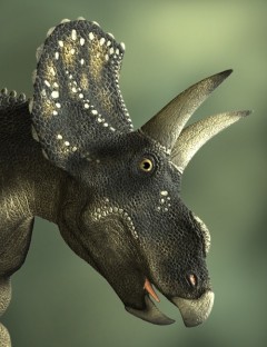 Diceratops