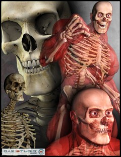 Freak 3 Skeleton