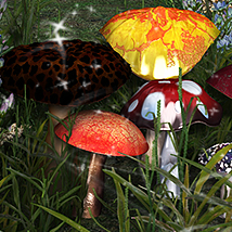 Magic! Morphing Mushroom