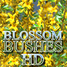 Flinks Blossom Bushes HD