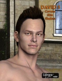 Carrara Skin Shaders For David 5