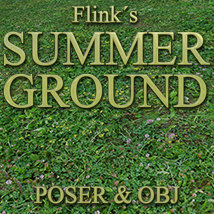 Flinks Summer Ground