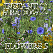 Flinks Instant Meadow 2- Flowers 5