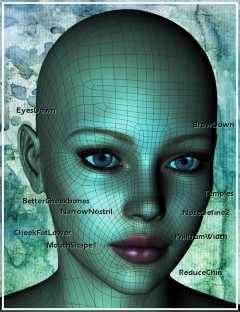 Genesis Head Morph Resource Kit 1