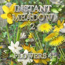 Flinks Instant Meadow 2- Flowers 4