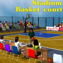 Stadium Basketball court