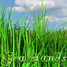 Grasslands