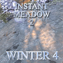 Flinks Instant Meadow 2 - Winter 4