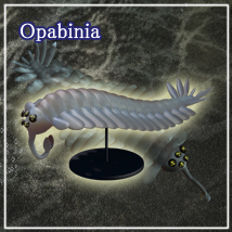 Opabinia