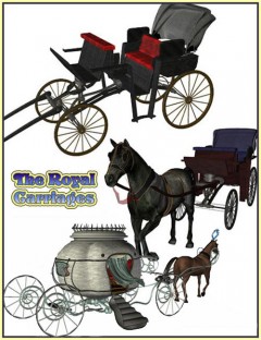 Royal Carriages for Millennium Horse