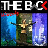 THE BACK Woods