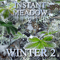 Flinks Instant Meadow 2 - Winter 2