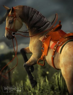 Western Saddle for DAZ Horse 2