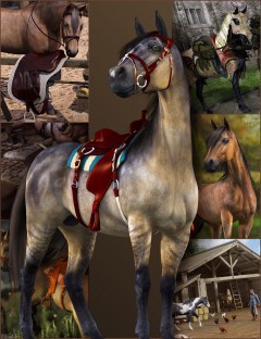 DAZ Horse 2 Starter Bundle