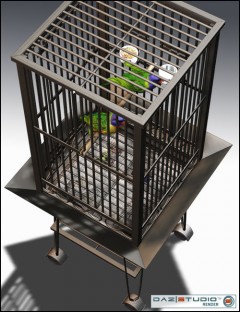 Parrot Cage