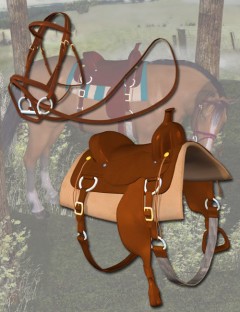 Western Horse Tack for the Millennium Horse