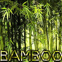 Bamboo