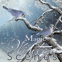 Magic Winter Scenes