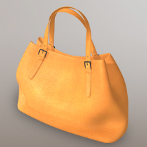 Handbag I