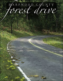 Forest Drive