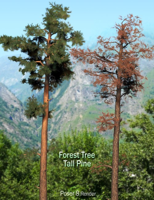 Forest Tree - Tall Pine