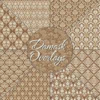 Damask Overlays