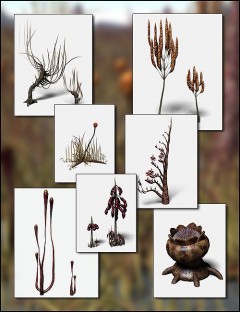 Alien Botanicals