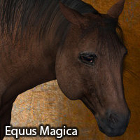 Equus Magica For the Millennium Horse